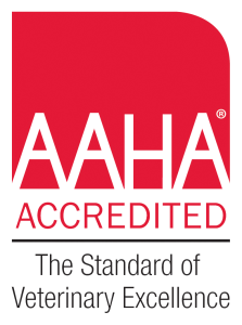 AAHA-accredited