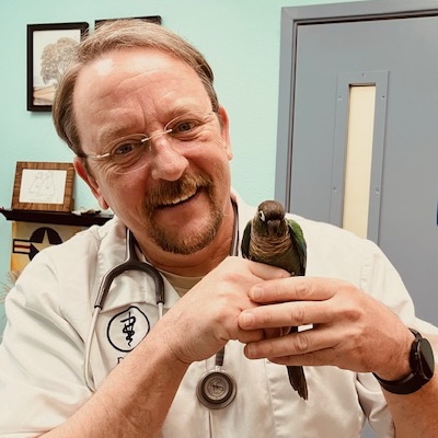 vet holding a bird