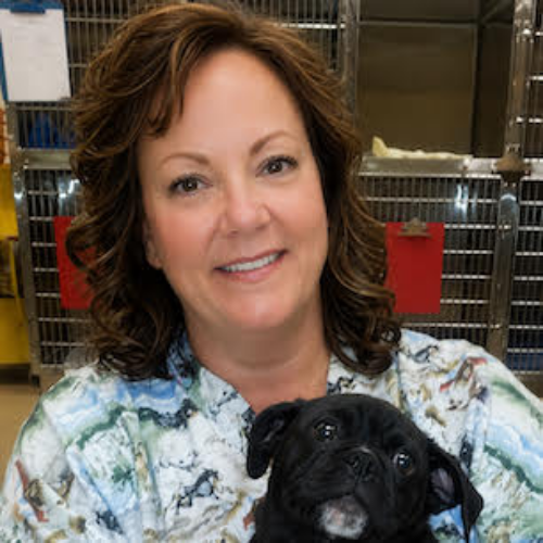Dr. Eryn Taormina, Owner